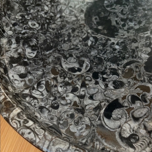 AMMONITE PLATE - Picture 10 of 10
